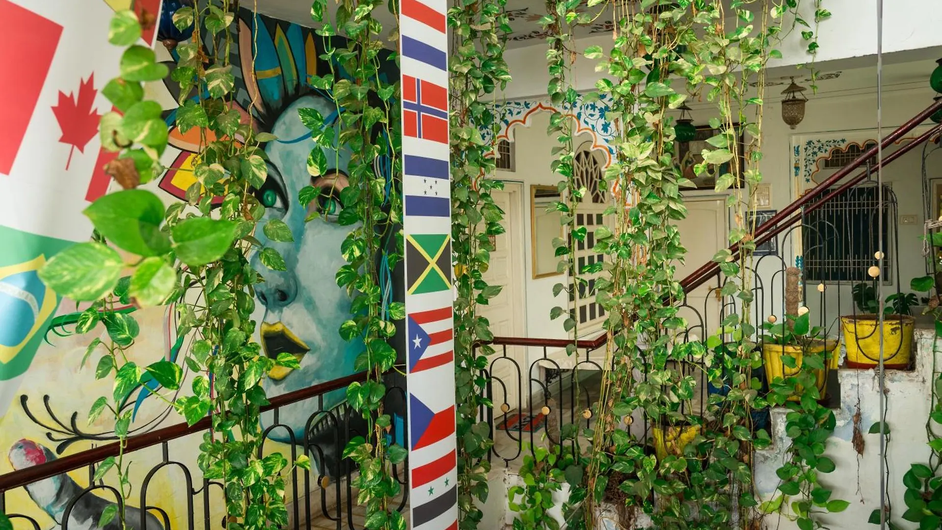 Dreamyard Udaipur Hostel India