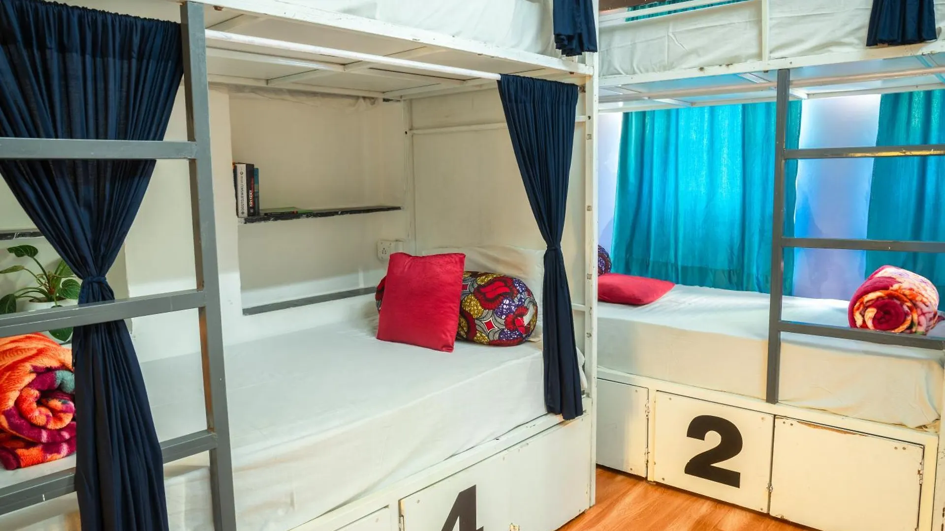 Dreamyard Udaipur Hostel